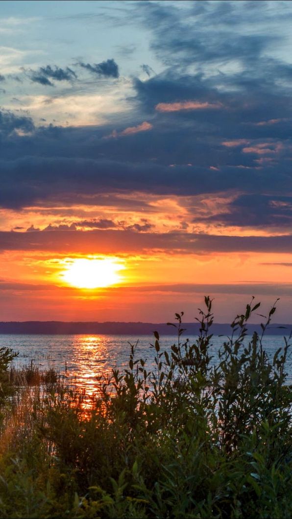 A sunset over a body of water with trees in the foreground.