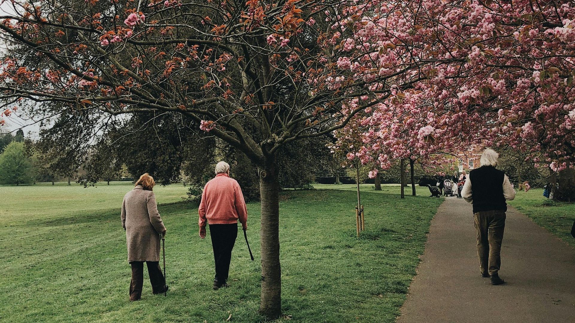 A group of people are walking in a park.