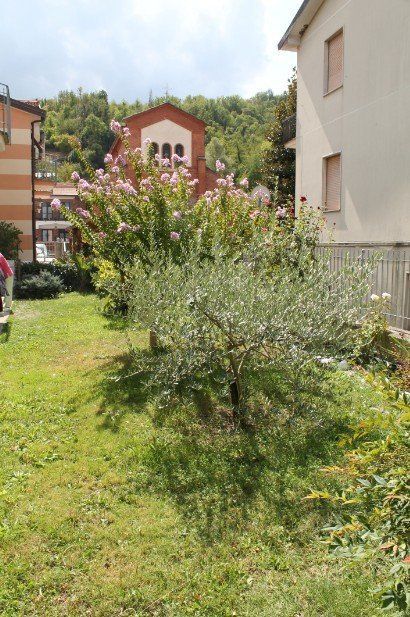 ambienti della casa per anziani