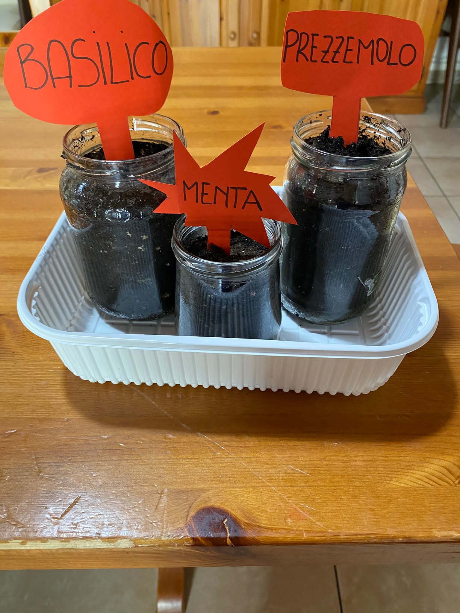 attività di giardinaggio presso la residenza per anziani