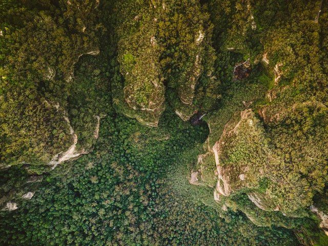 An aerial view of a lush green forest surrounded by mountains.