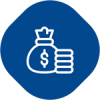 A blue icon with a bag of money and stacks of coins.