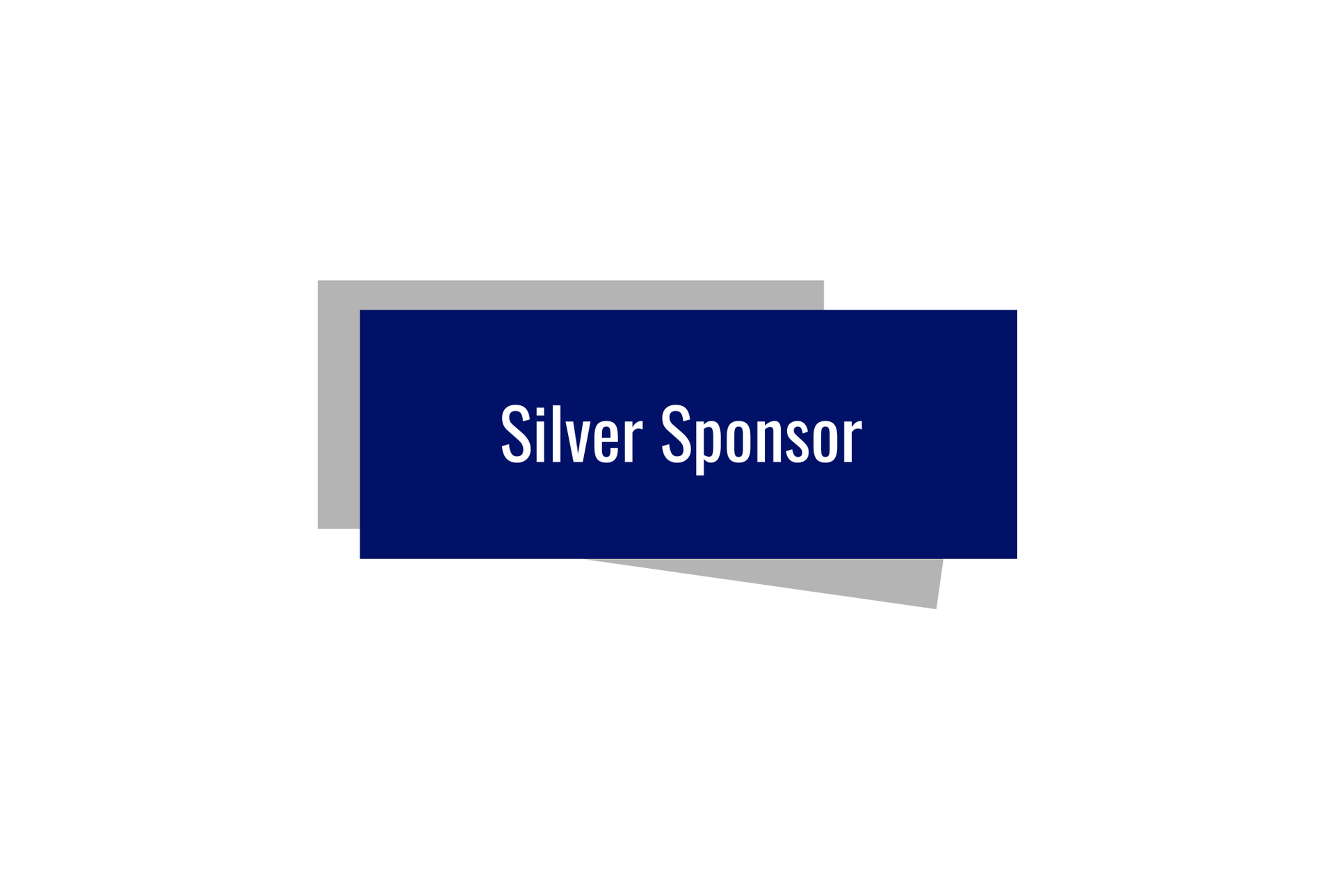 Silver Sponsor