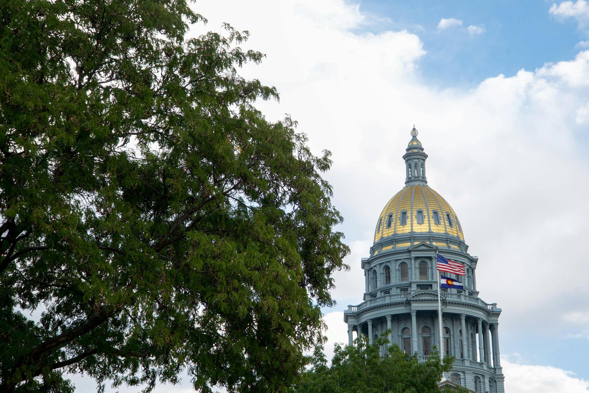 Gold-domed Colorado State Capitol building behind a tree with green leaves, under a partly cloudy sky.