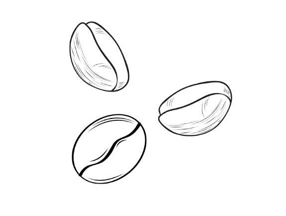 A black and white drawing of three coffee beans on a white background.
