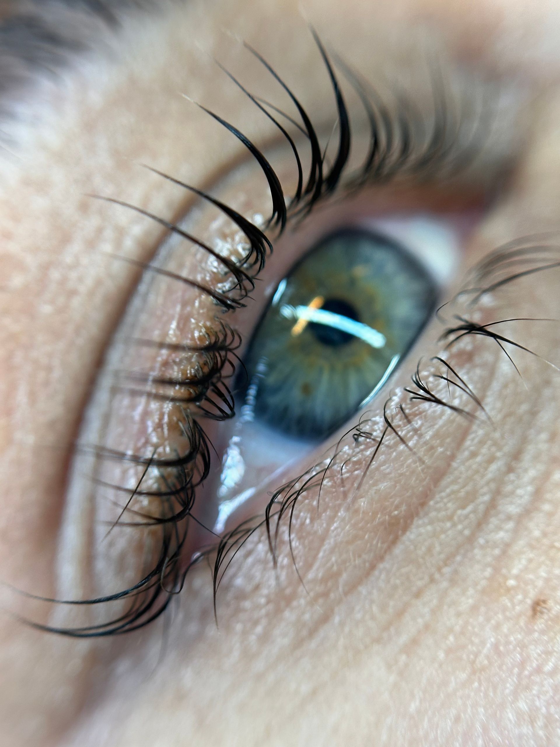 Close-up van gelifte wimpers na lash lift behandeling