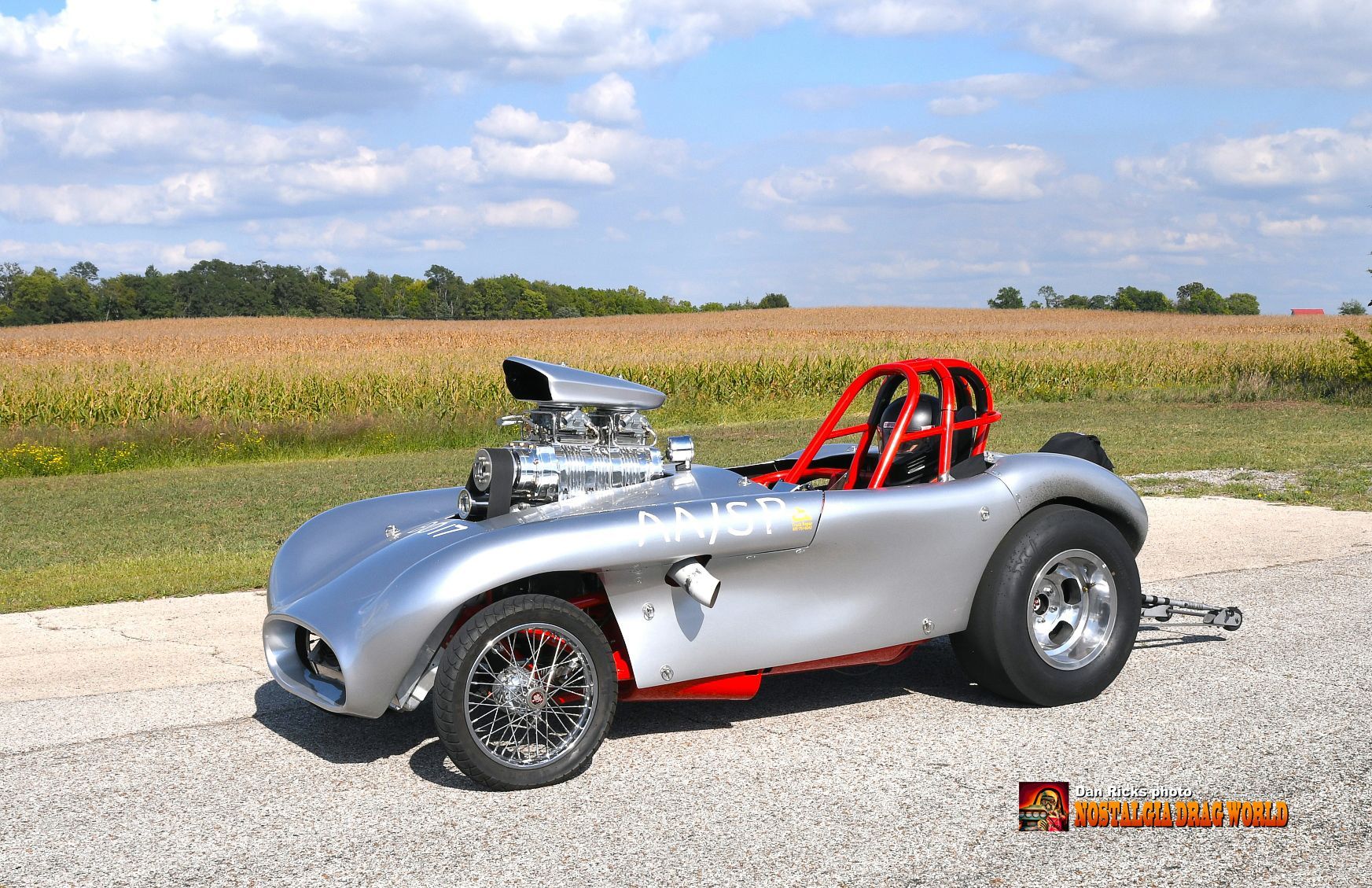 A silver race car is parked in front of a field