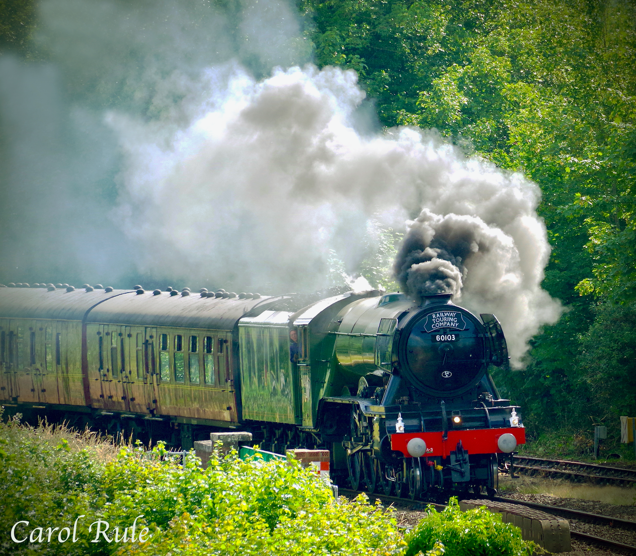 A picture of a train taken by carol ruth