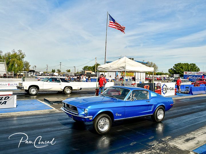 A blue mustang is driving down a race track next to a white mustang.