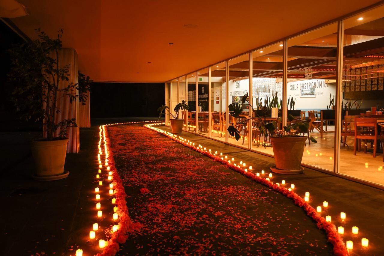 Camino adornado con velas y pétalos de flores, que conduce a un restaurante cálidamente iluminado.