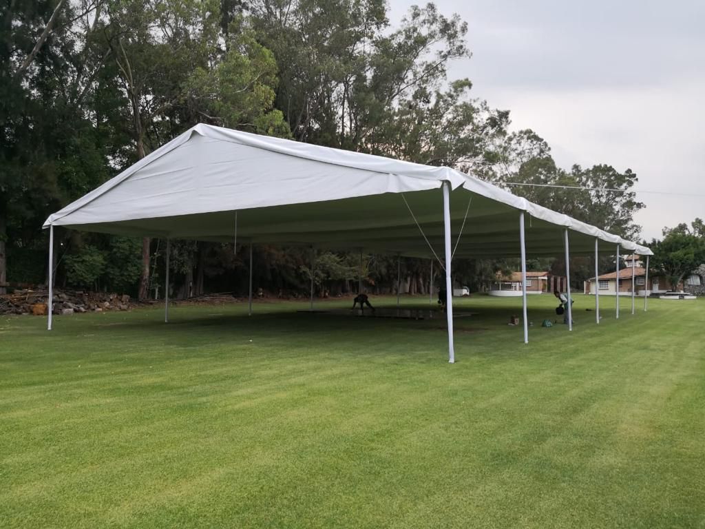 Carpa con dosel blanco instalada en un campo de hierba, con árboles al fondo.