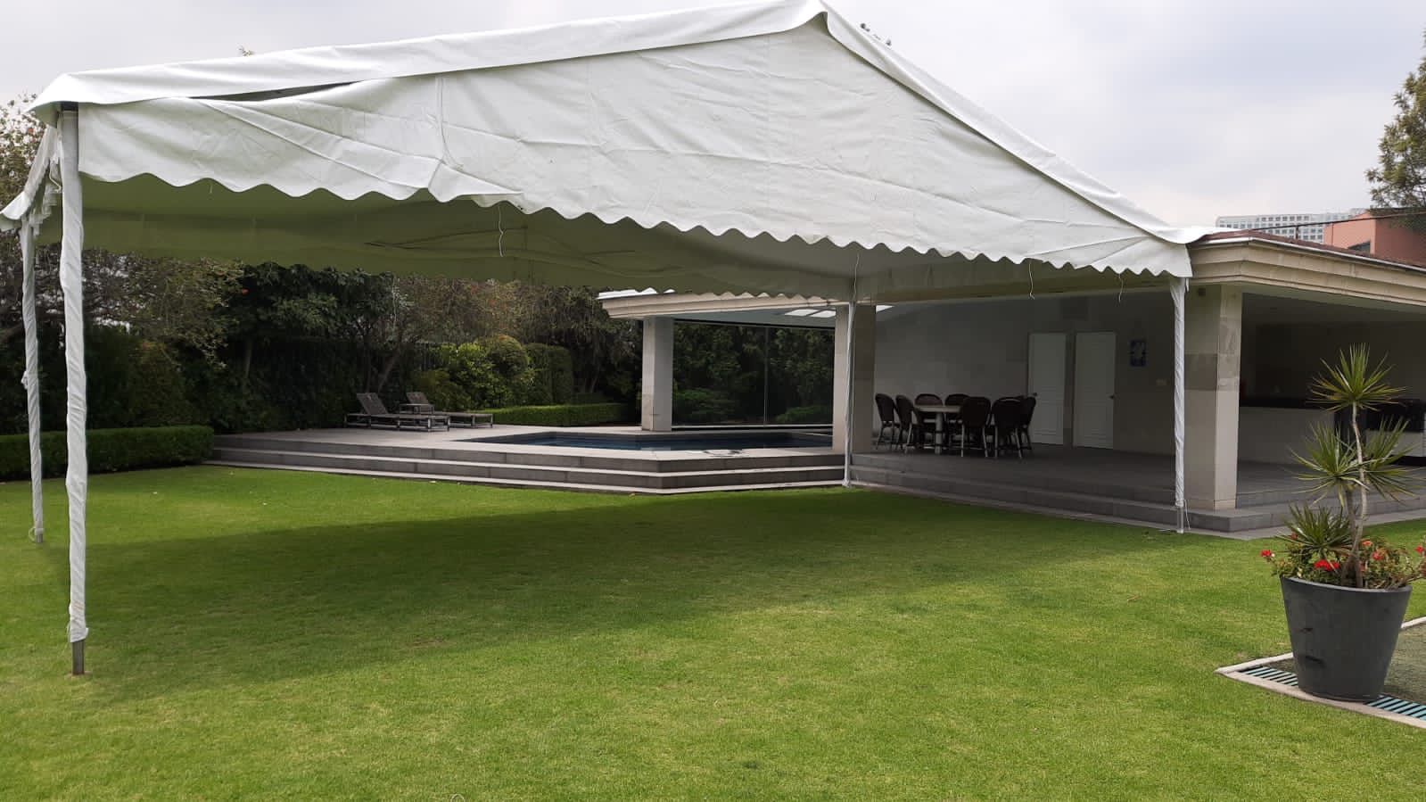 Carpa blanca sobre césped verde, mirando hacia una piscina y una casa con patio cubierto.