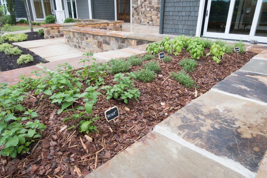 Herb garden with brown mulch, stone steps, and labeled plants in front of a house.