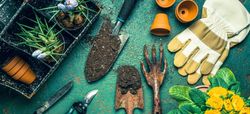 Jardinería