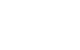 CONNECT WITH FLX LOGO