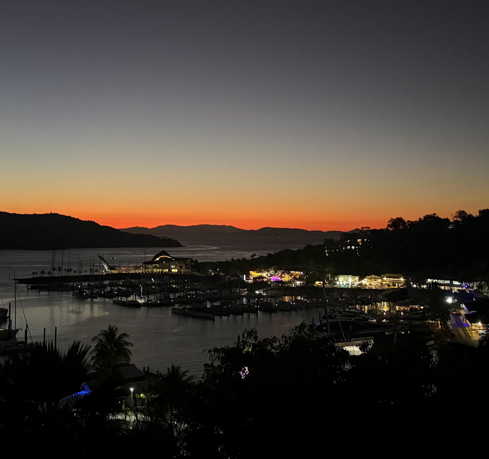 Sunset over Hamilton Island Marina, boats docked, lights twinkling, dark silhouettes of trees in foreground.