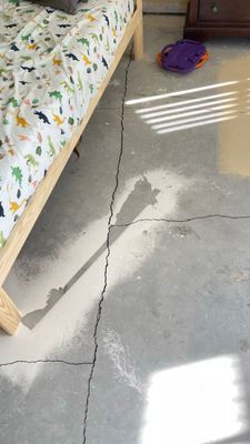 Cracked concrete floor beneath a child's bed with dinosaur-patterned bedding. Sunlight creates shadows.