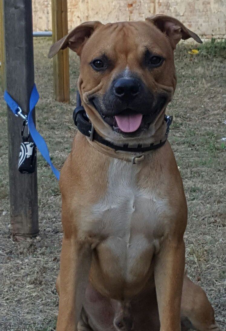 realizzazione in marmo personalizzate