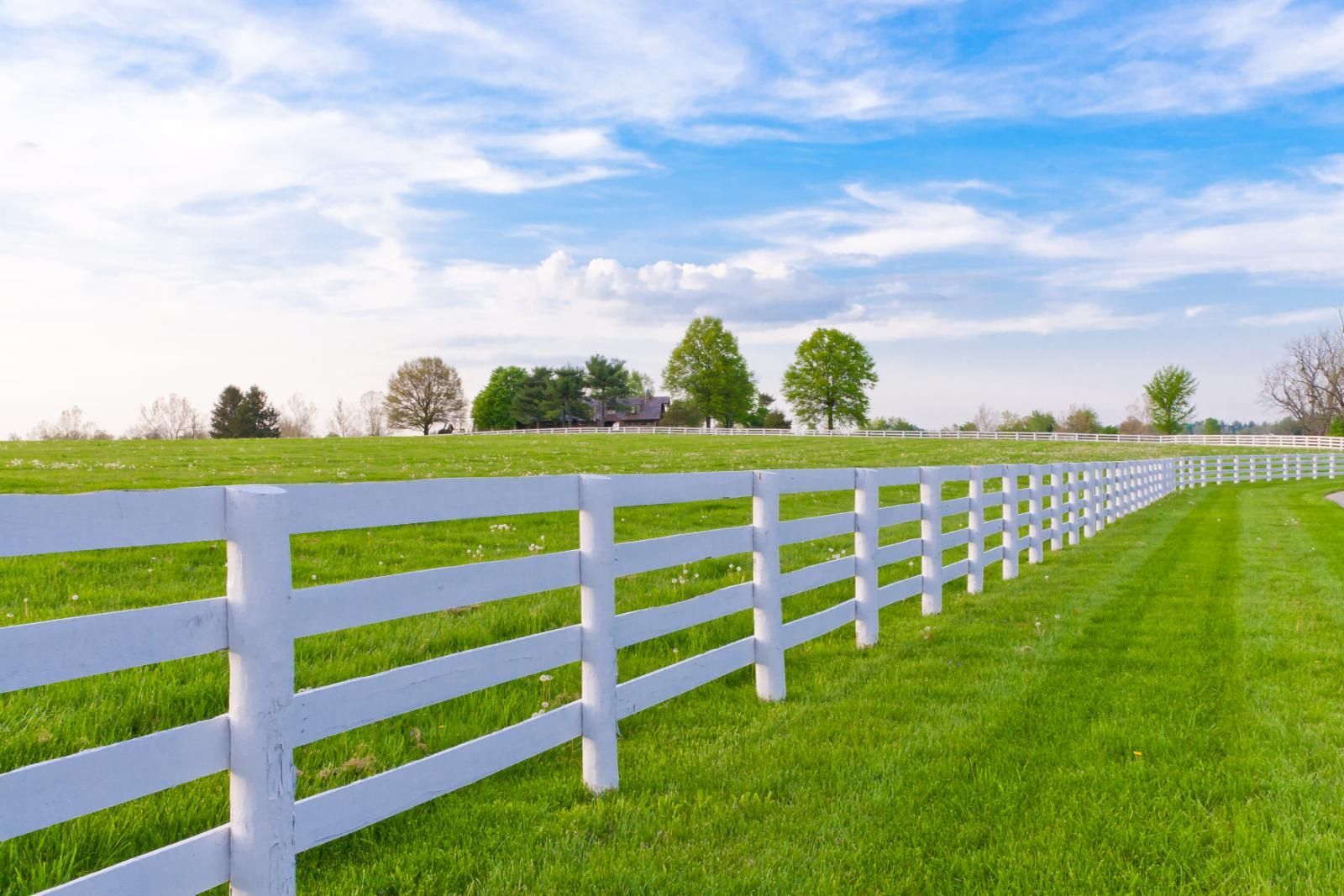 A white fence surrounds a lush green field.