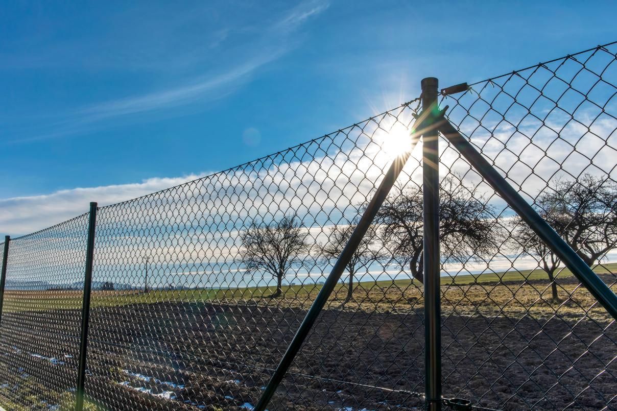 The sun is shining through the chain link fence.