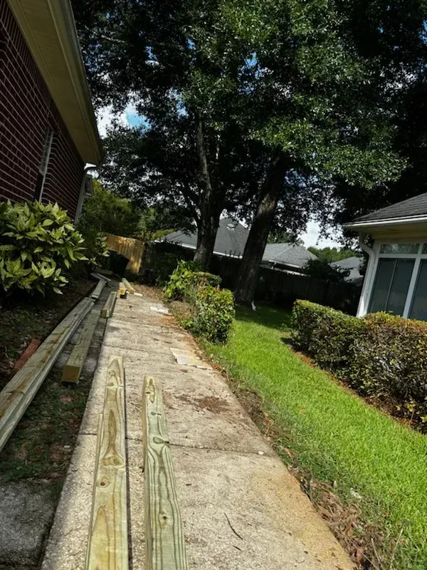 A sidewalk leading to a house with a lot of trees and bushes.