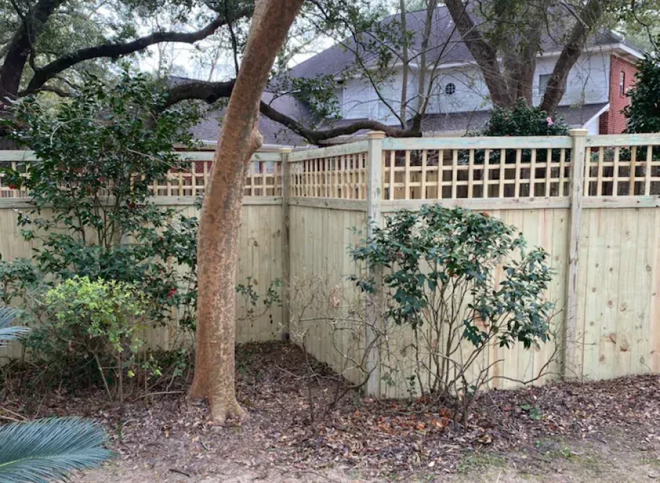 A wooden fence is surrounded by trees and bushes.