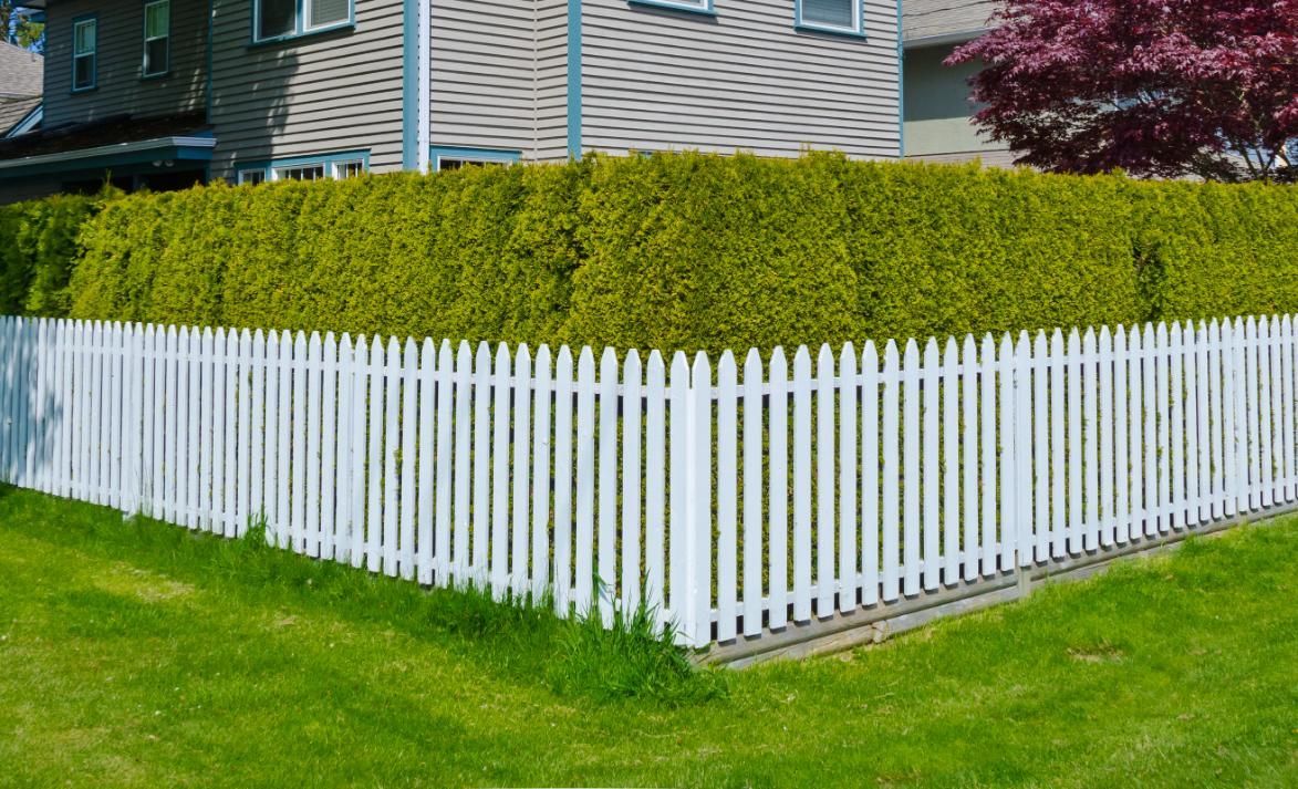 A white picket fence surrounds a lush green hedge in front of a house.