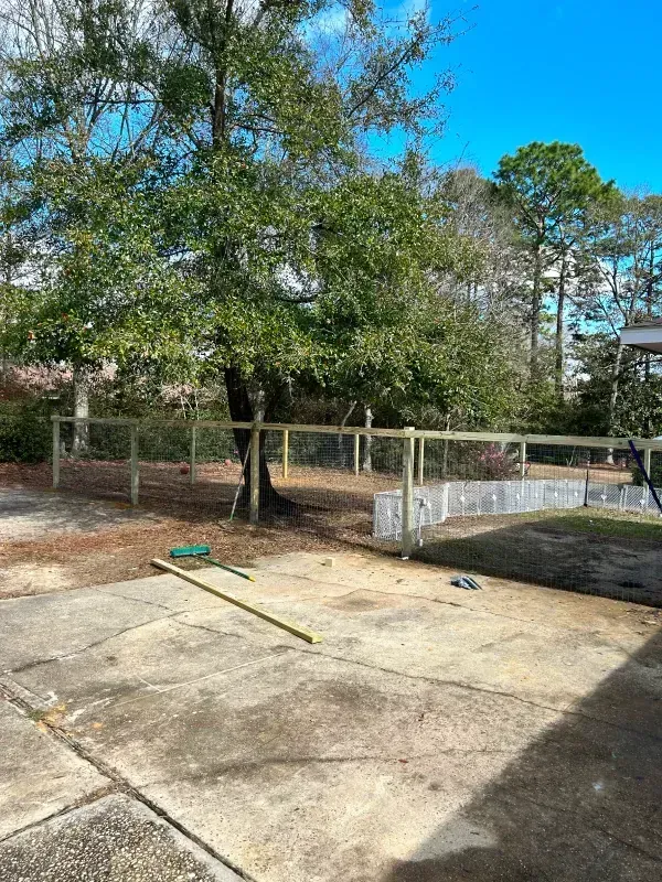 A backyard with a wooden fence and trees in the background.
