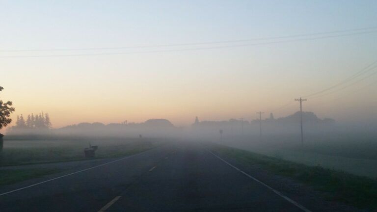 Fog Leads to Brightness - Amelia Hansen