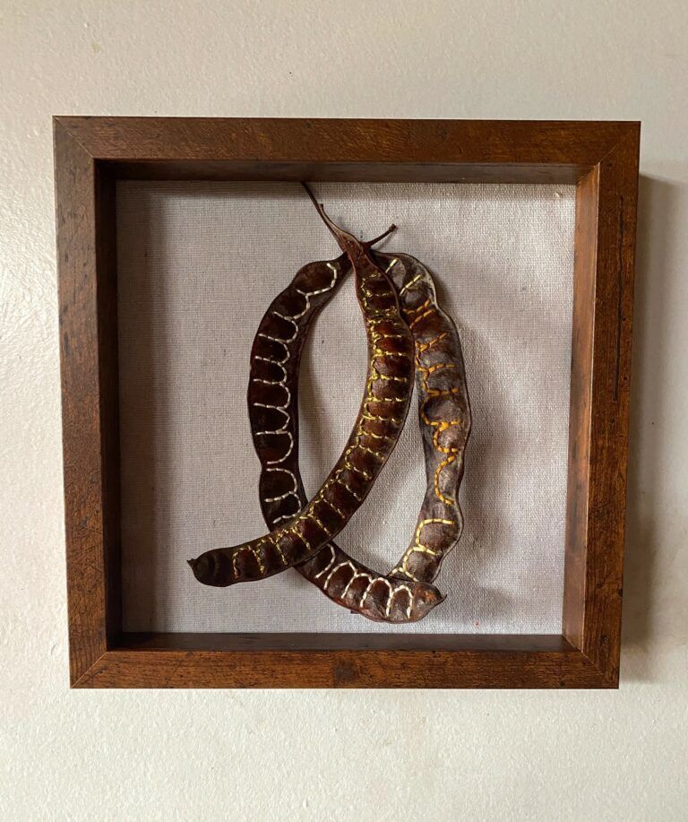 Sewing Seeds of Stewardship - Emilie Nettinga