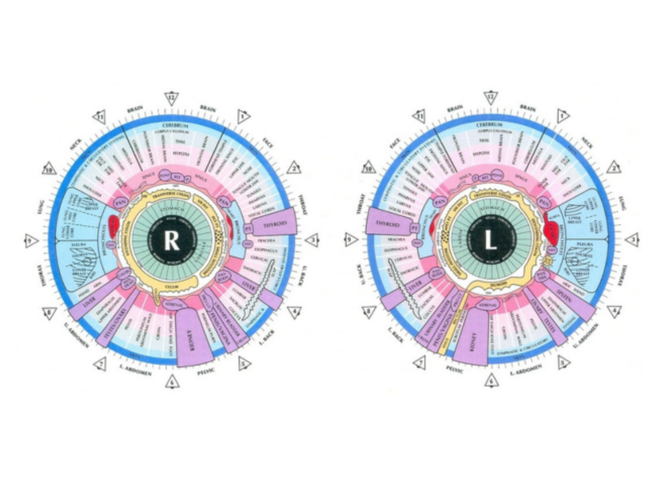 Iridology chart of the right and left eyes; multicolored, with areas mapped to body parts.
