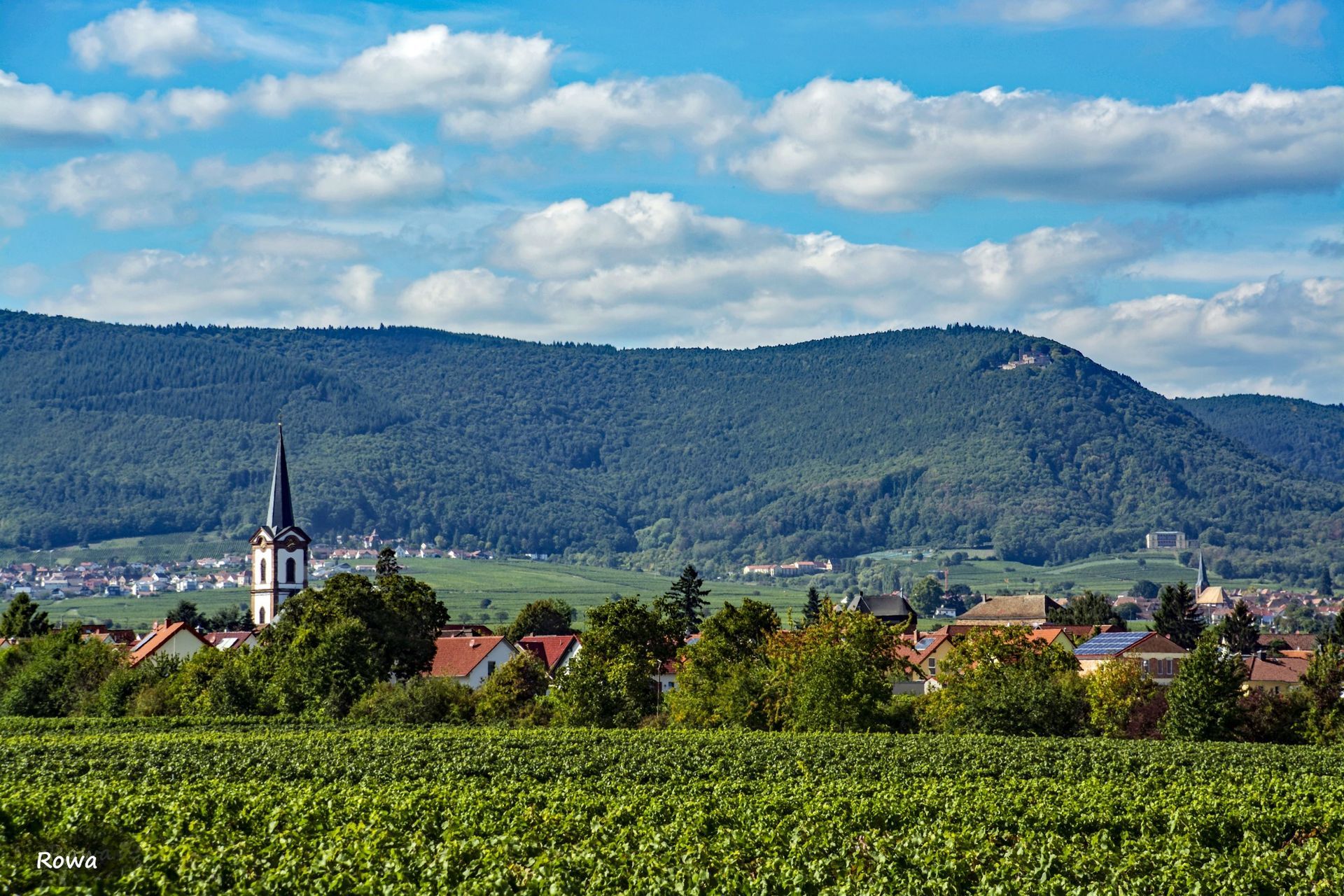 Inmitten eines Feldes steht eine Kirche mit Bergen im Hintergrund.