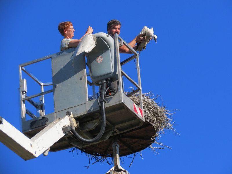 Ein Mann und eine Frau sitzen in einem Kran und halten einen Vogel