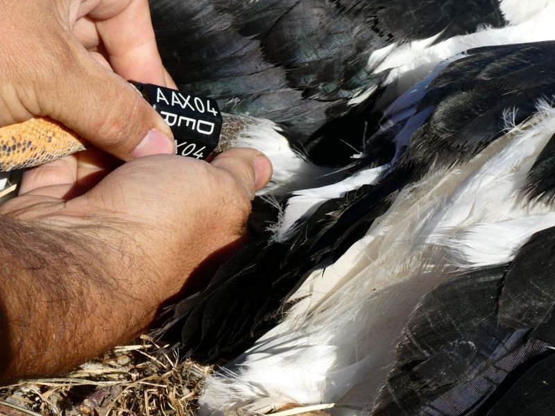 Eine Person hält ein Schild mit der Aufschrift „Axol“