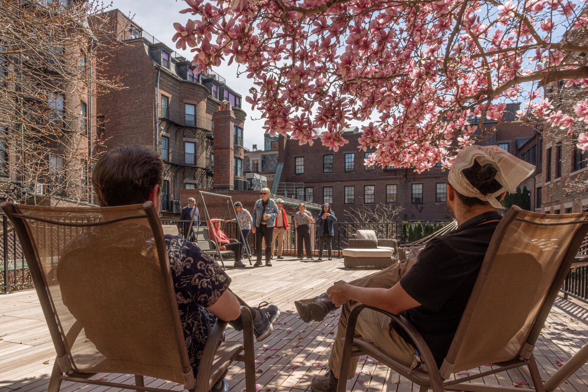 Two people sit in outdoor chairs, looking toward a small group of individuals gathered in a sunny, tree-lined courtyard.