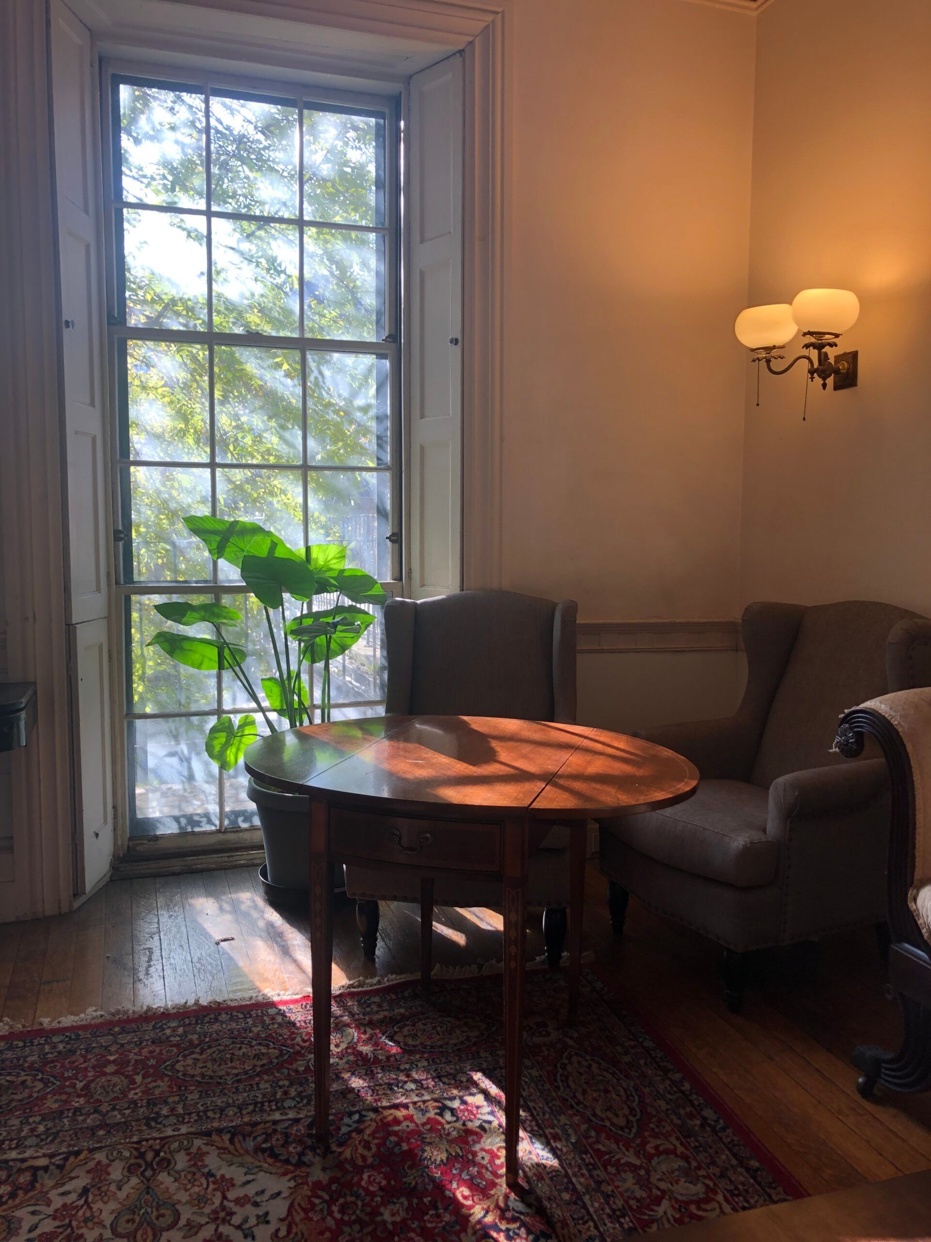 A wooden table and two armchairs sit on a patterned rug near a bright window with a potted plant in a quiet room.
