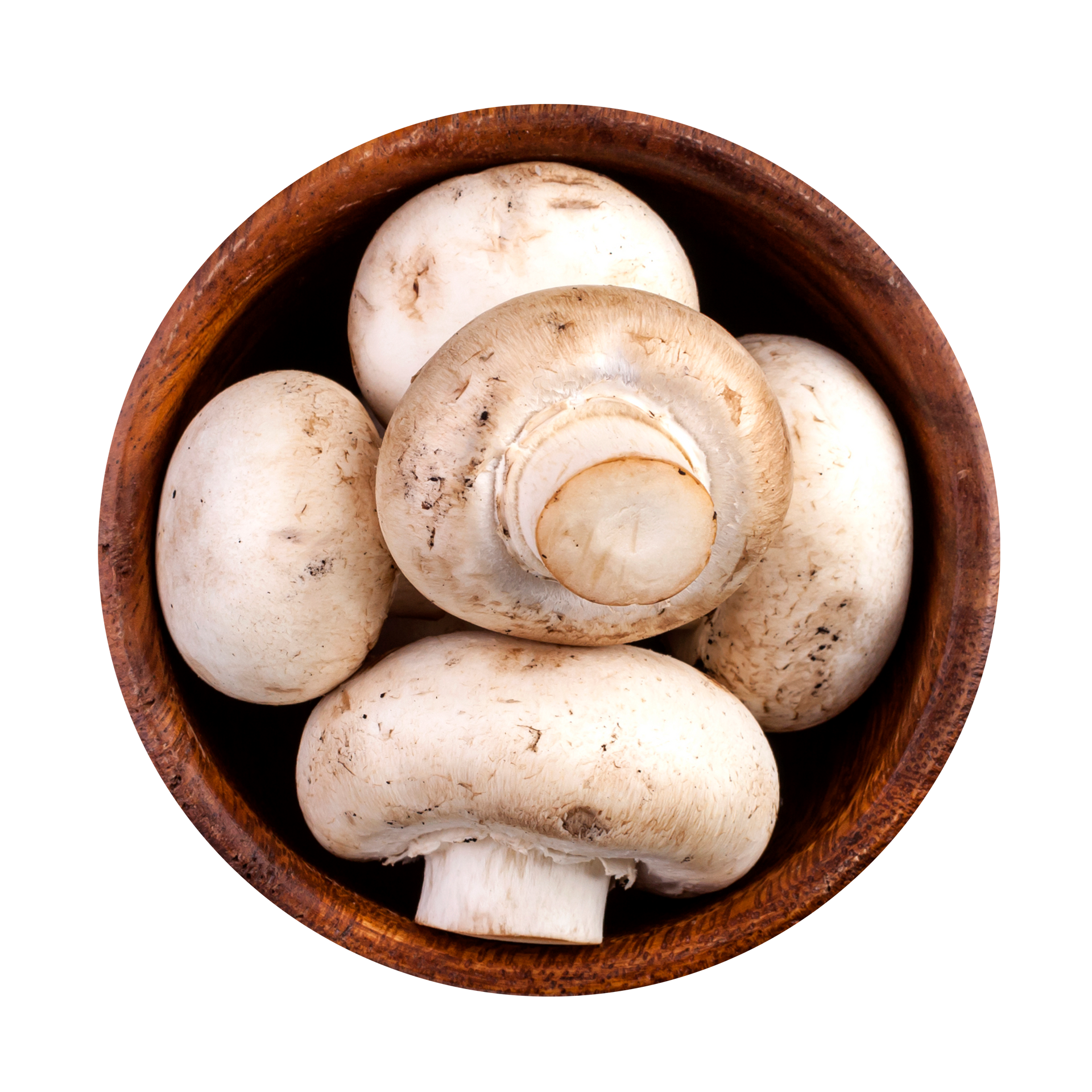 JPOT Japanese hot pot white mushrooms in a wooden bowl bird's eye view