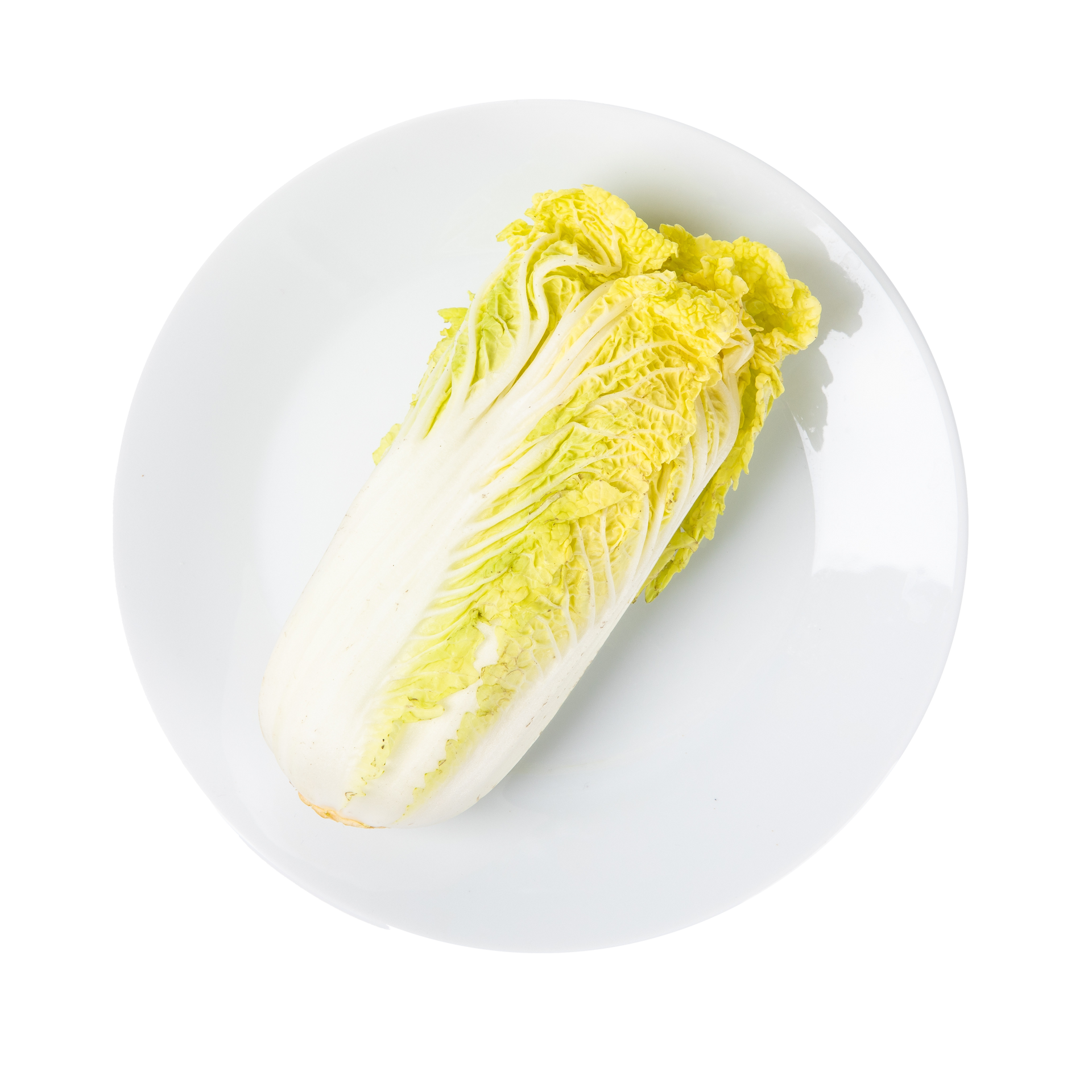 JPOT Japanese hot pot napa Chinese cabbage on a white plate bird's eye view