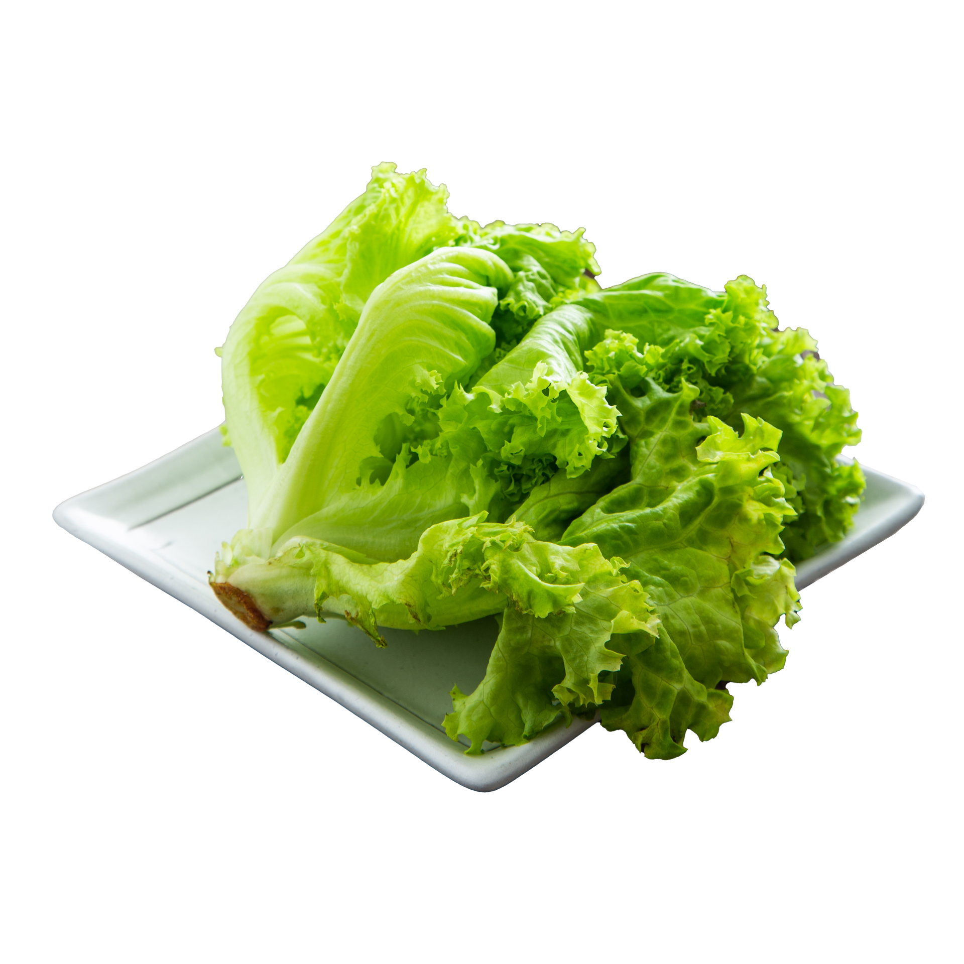 JPOT Japanese BBQ lettuce on a white rectangular plate angled view