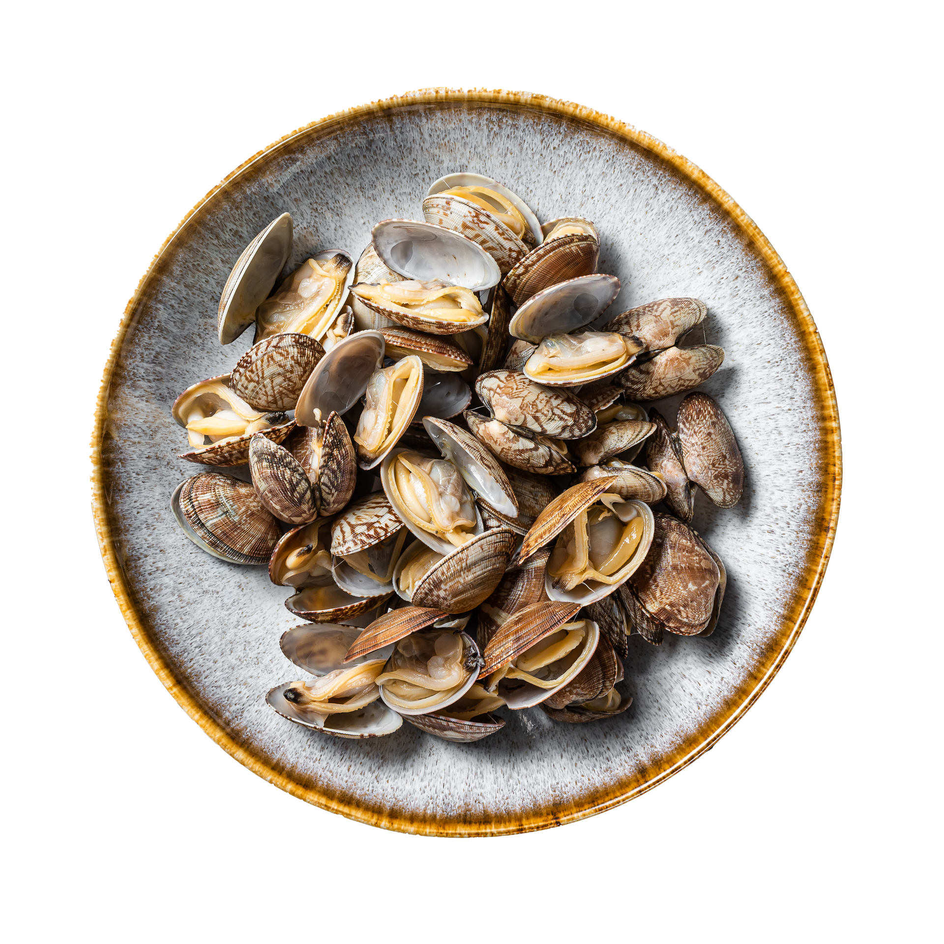 JPOT Japanese hot pot manila clams in a gray and bronze rimmed ceramic plate bird's eye view