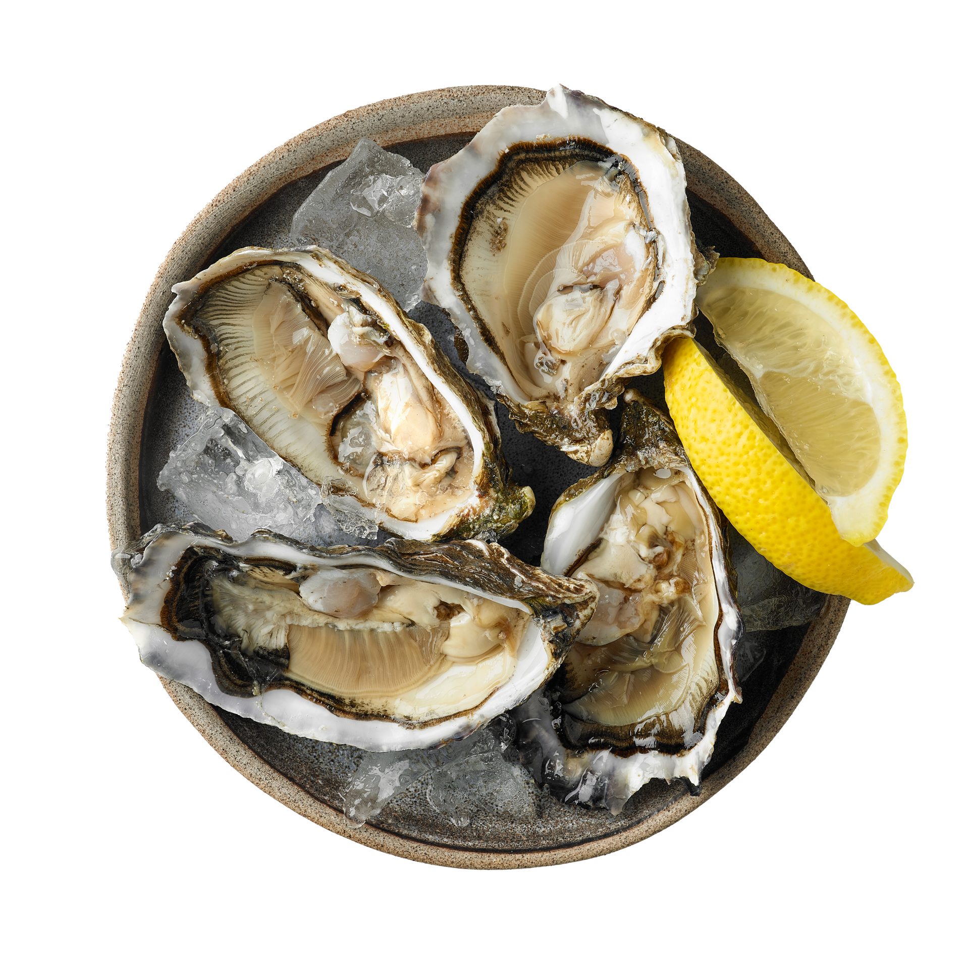 JPOT Japanese hot pot raw oysters with two lemon slices on ice in a grey plate bird's eye view