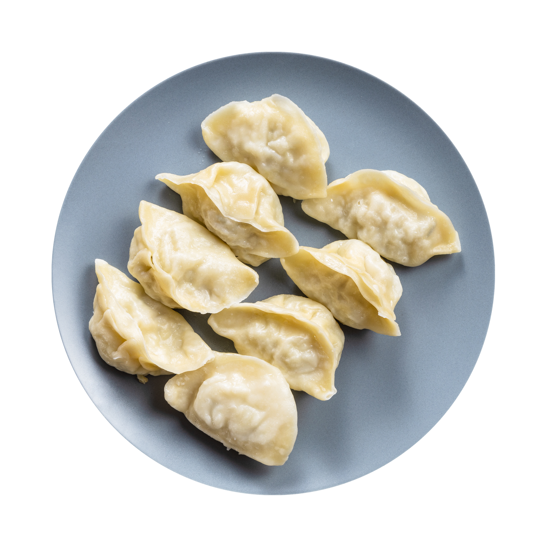 JPOT Japanese hot pot steamed pork gyoza on a blue-gray plate bird's eye view