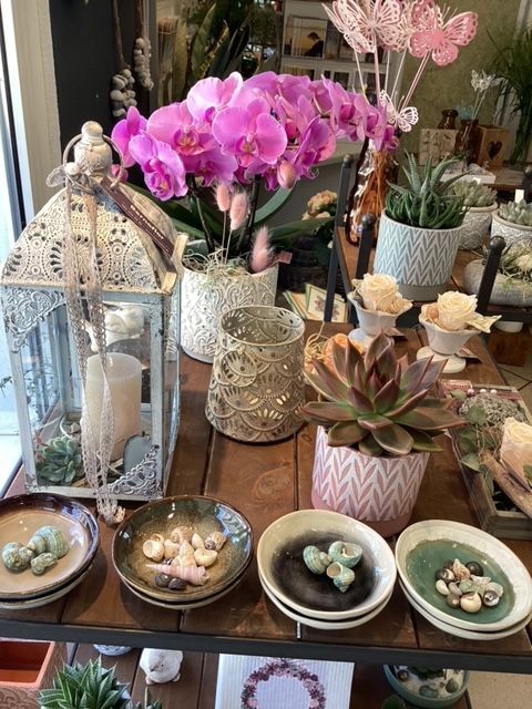 Ein Tisch mit vielen Topfpflanzen und Blumen darauf