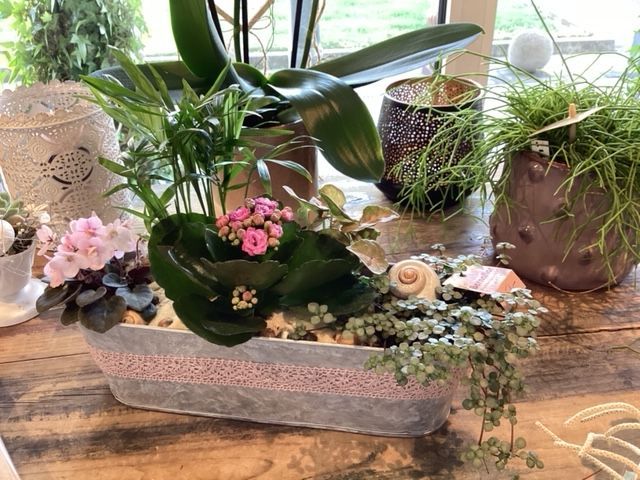 Auf einem Holztisch stehen ein paar Topfpflanzen.