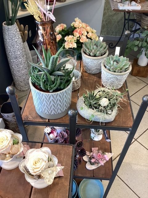 Ein Holzregal voller Topfpflanzen und Blumen