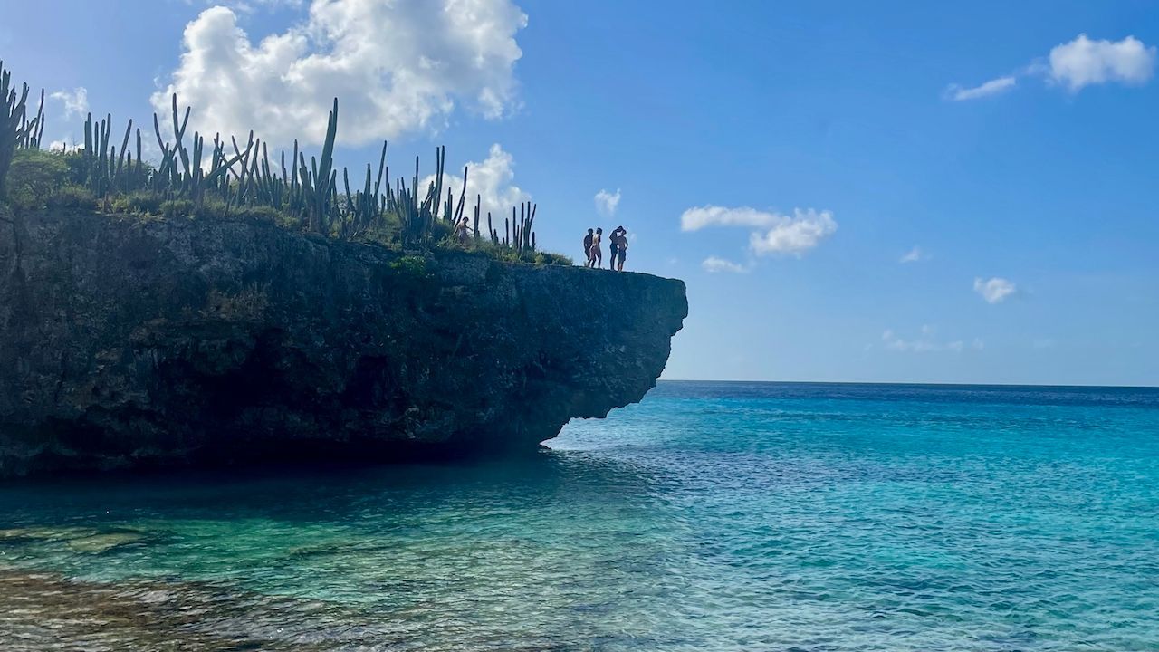 A group of people standing on top of a cliff overlooking the ocean.