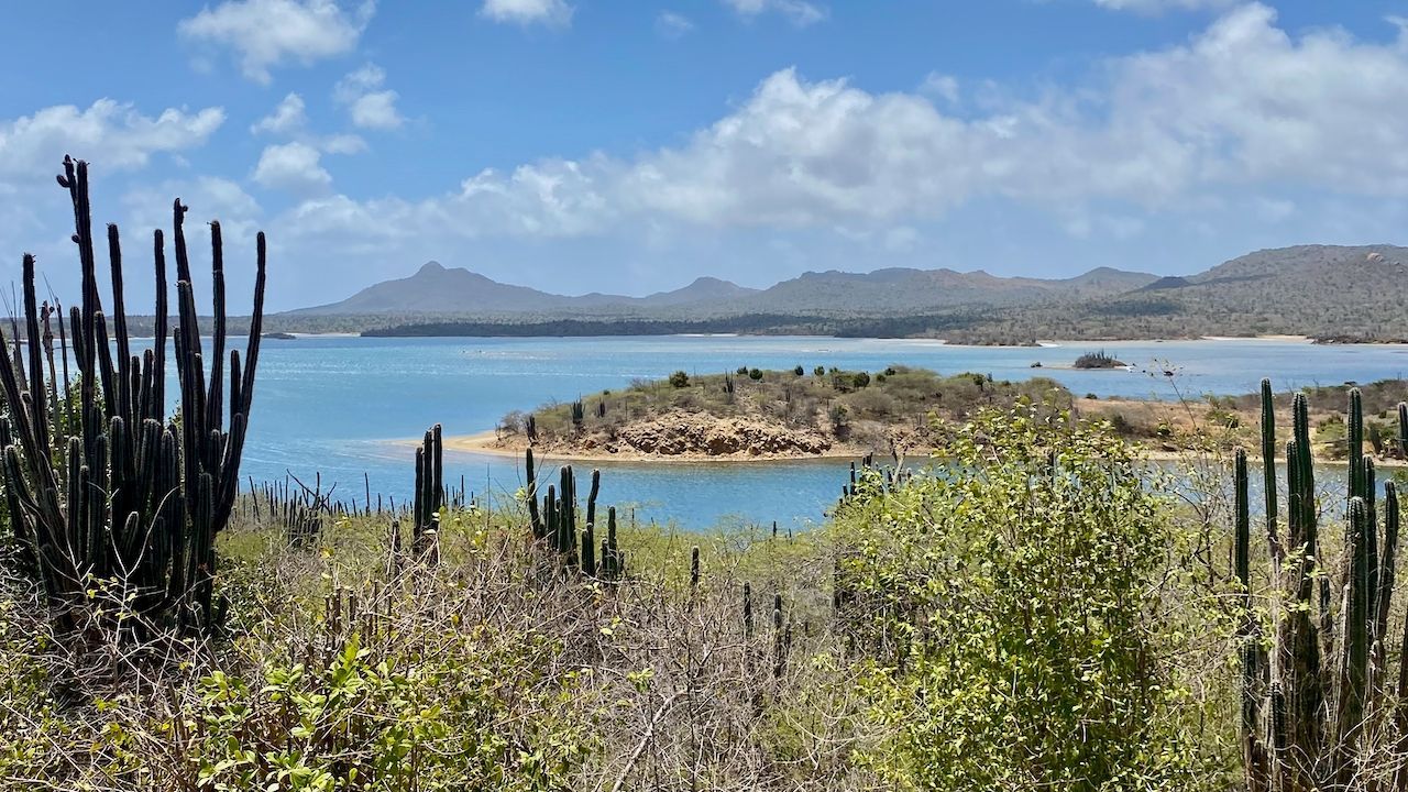 A small island in the middle of a body of water with mountains in the background.