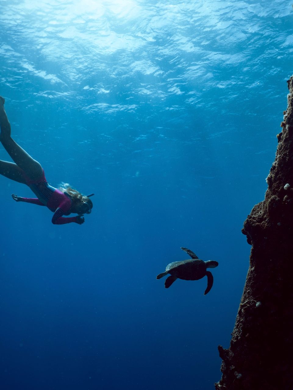 A person is swimming in the ocean next to a turtle.