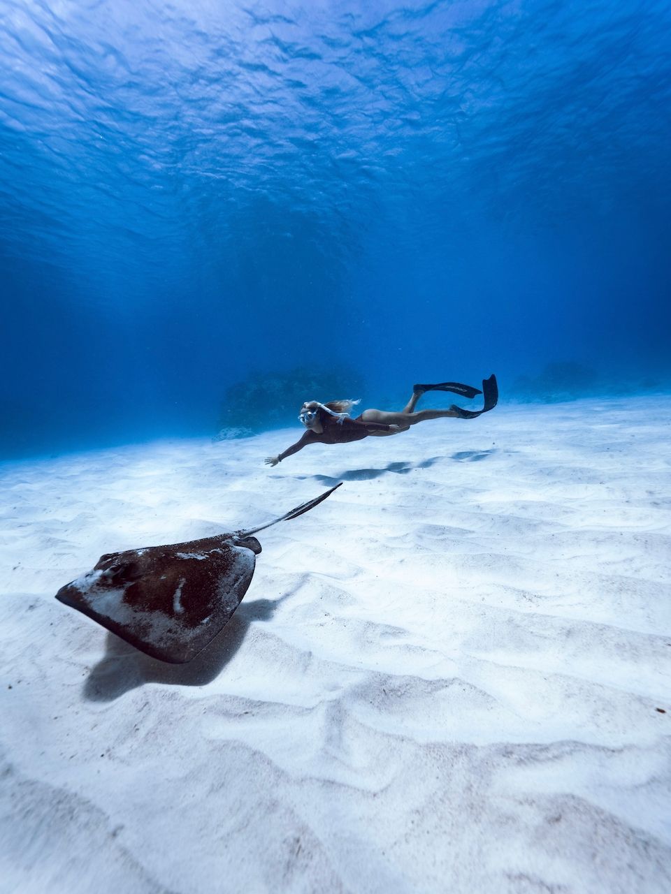A person is swimming with a stingray in the ocean.