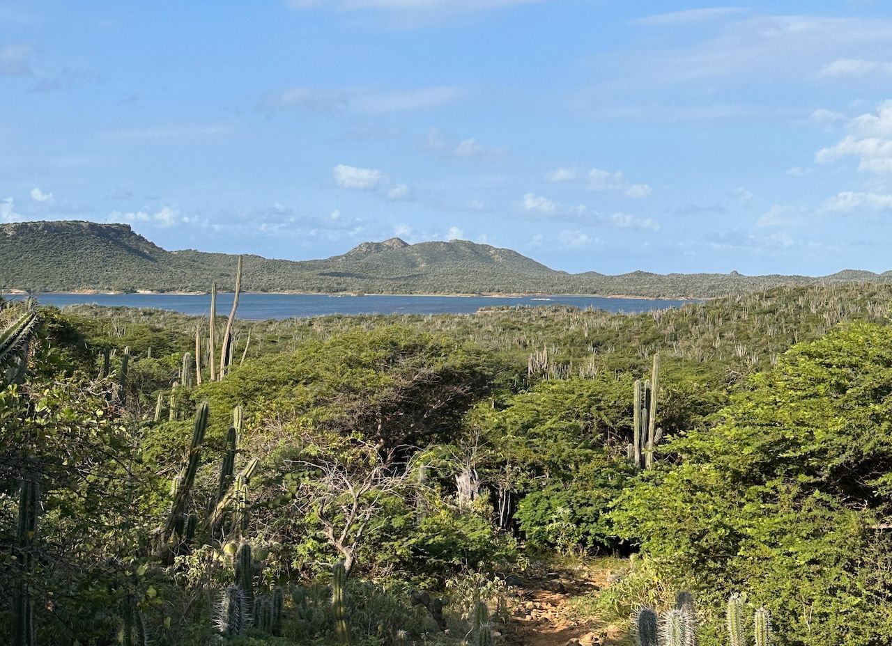 A dirt path going through a lush green field with mountains in the background.